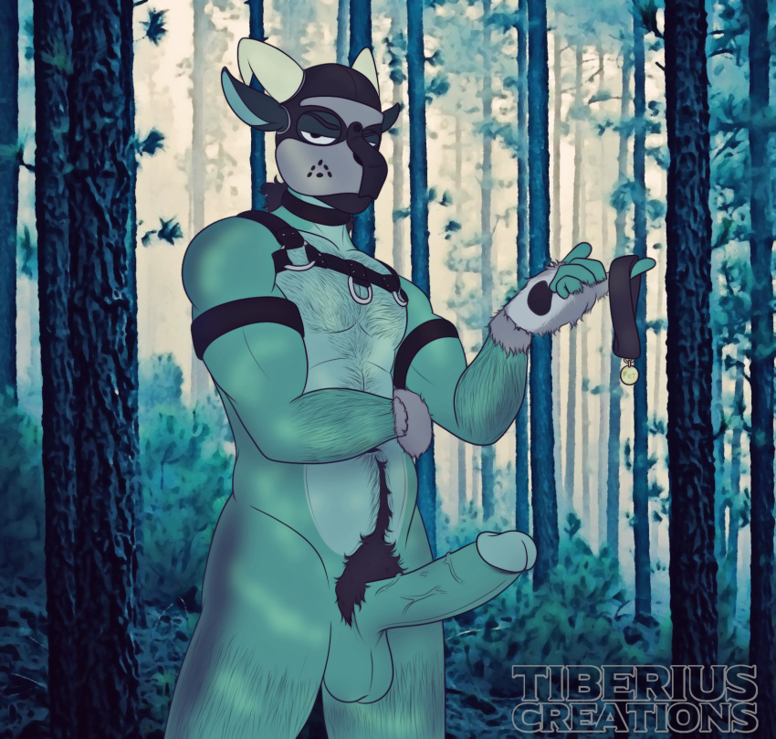 abs animal_mask anthro balls biceps biped butt clothed clothing collar costume digital_media_(artwork) dragon erection genitals hair harness hi_res humanoid_genitalia humanoid_penis looking_at_viewer male mask muscular muscular_anthro muscular_male nipples nude pecs penis pup_mask reptile roleplay scalie simple_background solo tiberius tiberius_creations topwear