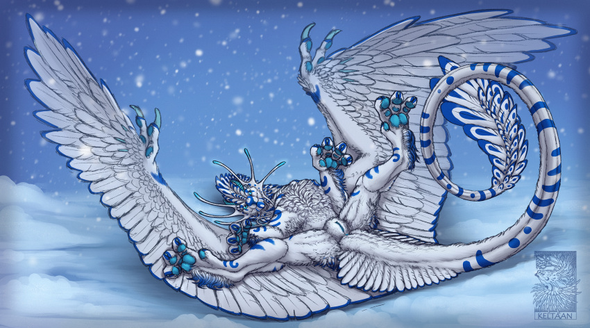 2021 digital_media_(artwork) dragon feathered_dragon feathered_wings feathers female feral fur furred_dragon genitals hi_res keltaan looking_at_viewer pussy snow snowing solo white_body white_feathers white_fur wings