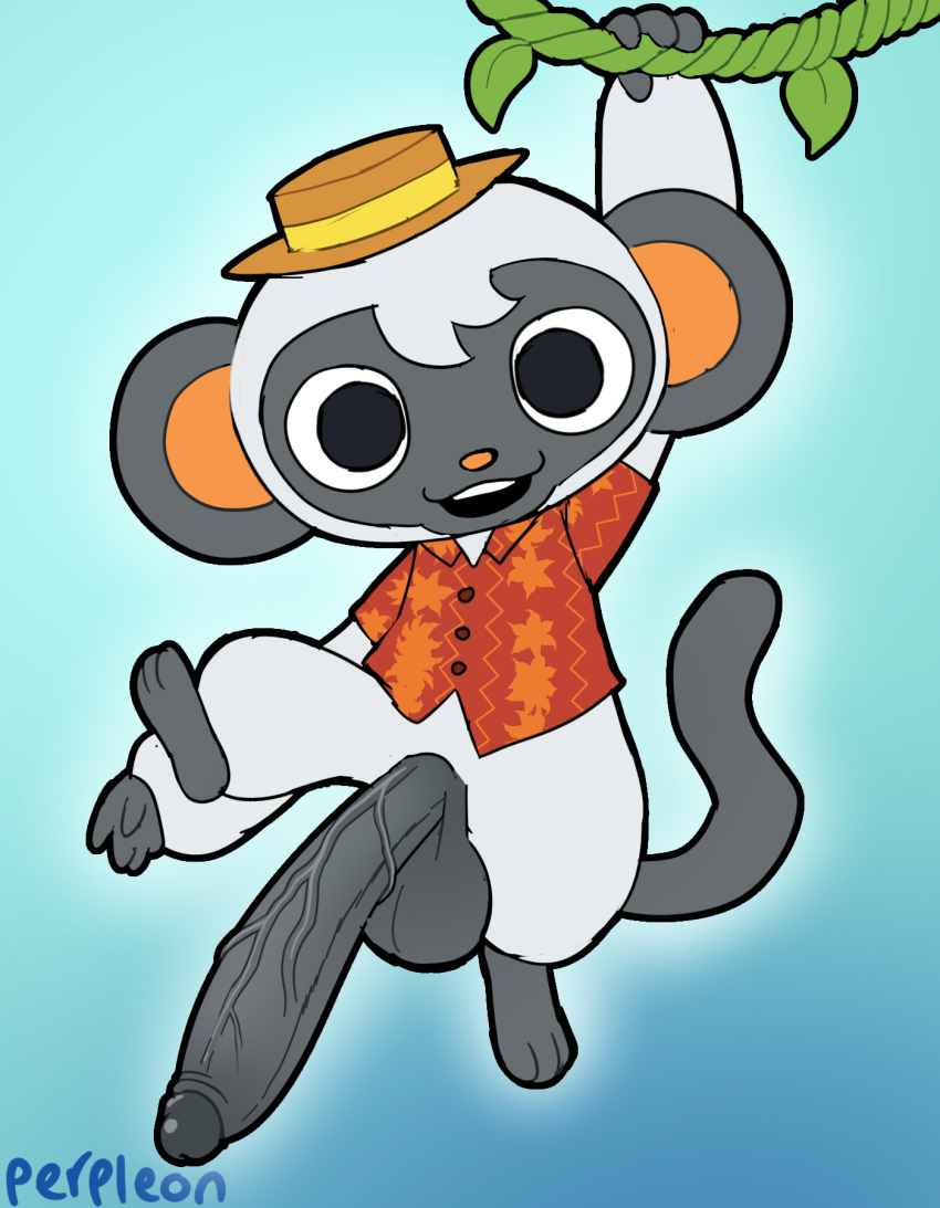 aloha_shirt animal_crossing anthro balls big_balls big_penis bottomless clothed clothing erection genitals haplorhine hat headgear headwear hi_res huge_penis humanoid_genitalia humanoid_penis hyper hyper_genitalia hyper_penis lemur long_penis looking_at_viewer male mammal monkey niko_(animal_crossing) nintendo open_mouth pattern_clothing pattern_shirt pattern_topwear penis perpleon primate retracted_foreskin shirt small_but_hung smile solo strepsirrhine thick_penis topwear vein veiny_penis video_games