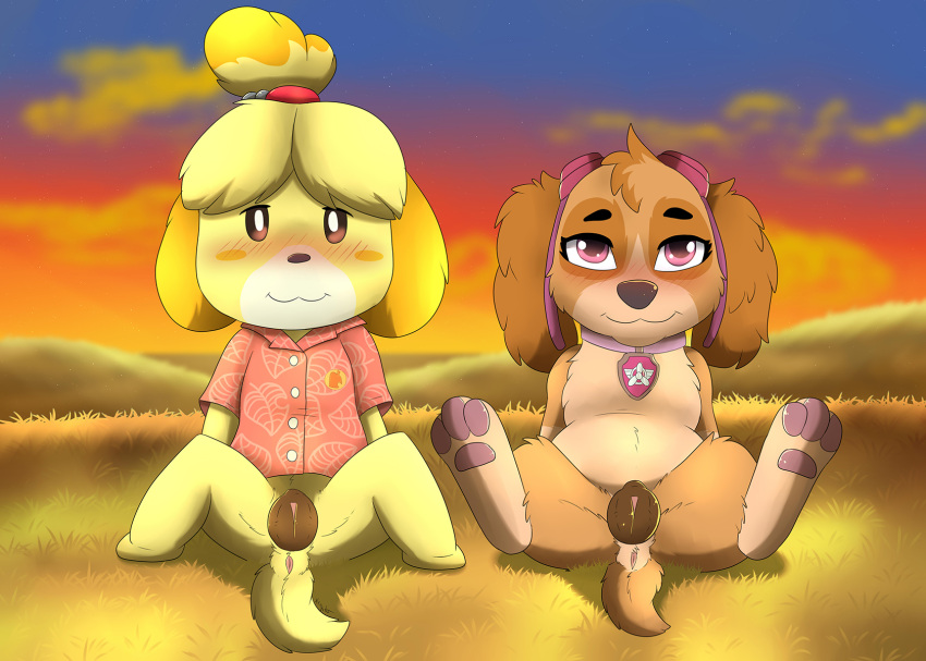 anatomically_correct anatomically_correct_genitalia anatomically_correct_pussy animal_crossing animal_genitalia animal_pussy anthro anus blush canid canine canine_pussy canis clothed clothing collar conditional_dnp domestic_dog duo female female/female feral genitals hi_res isabelle_(animal_crossing) looking_at_viewer mammal nintendo no_pants no_underwear paw_patrol pussy shirt skye_(paw_patrol) spread_legs spreading topwear video_games xxgato