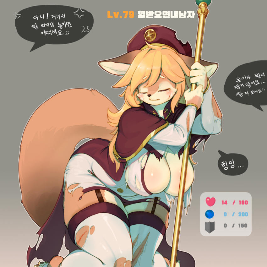 &lt;3 1:1 4_fingers absurd_res anthro armwear big_breasts big_tail biped black_nose blonde_hair blood blush bodily_fluids bottomwear breasts brown_body brown_ears brown_fur brown_pawpads brown_tail canid canine cape cheek_tuft claws cleavage cleric clothed clothing countershade_face countershade_fur countershade_legs countershade_torso countershading crying curvy_figure dialogue digital_media_(artwork) dipstick_ears dipstick_tail ears_down eyes_closed facial_tuft female fingers fluffy fluffy_tail fox front_view full-length_portrait fur gameplay_mechanics garter_straps glistening glistening_breasts glistening_clothing glistening_hair grey_background gui hair hanging_breasts hat headgear headwear hi_res holding_object holding_staff humanoid_hands inner_ear_fluff kemono kneeling korean_text legwear long_hair magic_user mammal markings monotone_hair multicolored_body multicolored_ears multicolored_fur multicolored_tail orange_body orange_ears orange_fur orange_tail partially_clothed pawpads pivoted_ears portrait red_clothing red_hat red_headwear sad shirt simple_background solo speech_bubble staff tail_markings tan_body tan_countershading tan_fur tan_inner_ear tan_inner_ear_fluff tears text thick_thighs thigh_highs three-quarter_view toe_claws topwear torn_armwear torn_bottomwear torn_clothing torn_legwear torn_topwear translation_request tuft two_tone_ears two_tone_tail unseen_character voluptuous white_armwear white_clothing white_legwear white_shirt white_topwear whooo-ya wounded