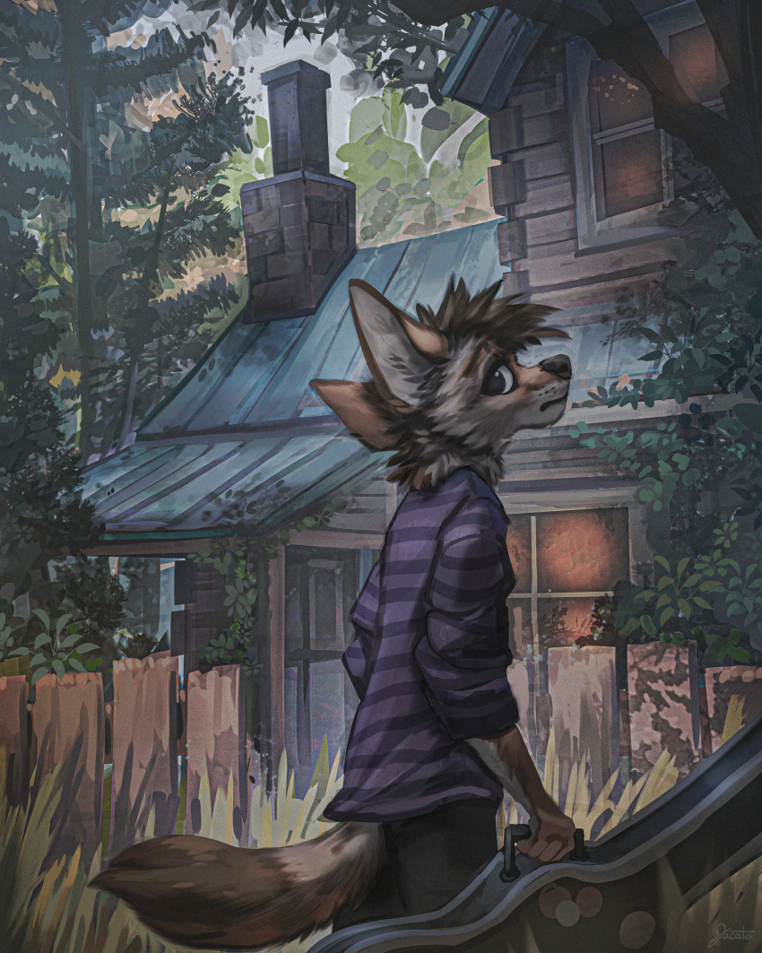 2021 4:5 4_fingers absurd_res anthro biped black_nose bottomwear branch brown_body brown_fur building canid cheek_tuft chimney clothed clothing detailed_background digital_media_(artwork) ears_back facial_tuft fence fingers fully_clothed fur grass head_tuft hi_res holding_guitar_case holding_object house inner_ear_fluff jacato leaf looking_back male mammal multicolored_body multicolored_fur neck_tuft outside pattern_clothing pattern_shirt pattern_topwear pivoted_ears plant prick_ears purple_clothing purple_shirt purple_topwear rolled_up_sleeves roof shirt signature sky solo standing striped_clothing striped_shirt striped_topwear stripes tall_grass tan_inner_ear_fluff topwear tree tuft two_tone_body two_tone_fur two_tone_tail whisker_spots window worried