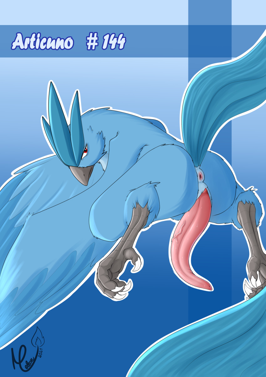 absurd_res animal_genitalia animal_penis anus articuno avian beak big_butt big_penis bird blue_body bodily_fluids butt claws erection feathered_wings feathers feet feral genitals hi_res legendary_pok&eacute;mon long_penis looking_at_viewer looking_back male meleon nintendo penis pok&eacute;mon pok&eacute;mon_(species) presenting puffy_anus rear_view solo tapering_penis toe_claws video_games wings