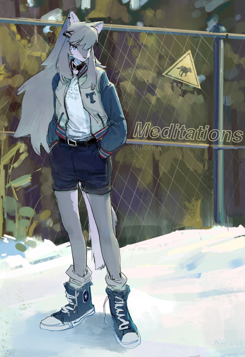 2021 anthro belt black_bottomwear black_clothing black_collar black_shorts blue_clothing blue_eyes blue_footwear blue_shoes bottomwear breasts building canid canine canis chain_link_fence clothed clothing collar detailed_background female fence footwear fully_clothed fur grey_body grey_fur grey_hair hair hair_over_eye hi_res jacket kemono long_hair looking_at_viewer mammal one_eye_obstructed plant shiiorina shirt shoes shorts small_breasts snow socks solo standing topwear traditional_media_(artwork) tree white_body white_clothing white_fur white_shirt white_topwear wolf