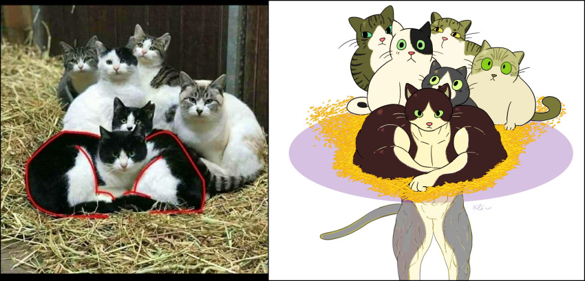 2021 ambiguous_gender anthro anthrofied big_muscles comparison domestic_cat felid feline felis feral fur group hay hi_res hole_(pit) humor keke_(artist) looking_at_viewer mammal muscular muscular_ambiguous muscular_anthro photo simple_background tuft whiskers white_background