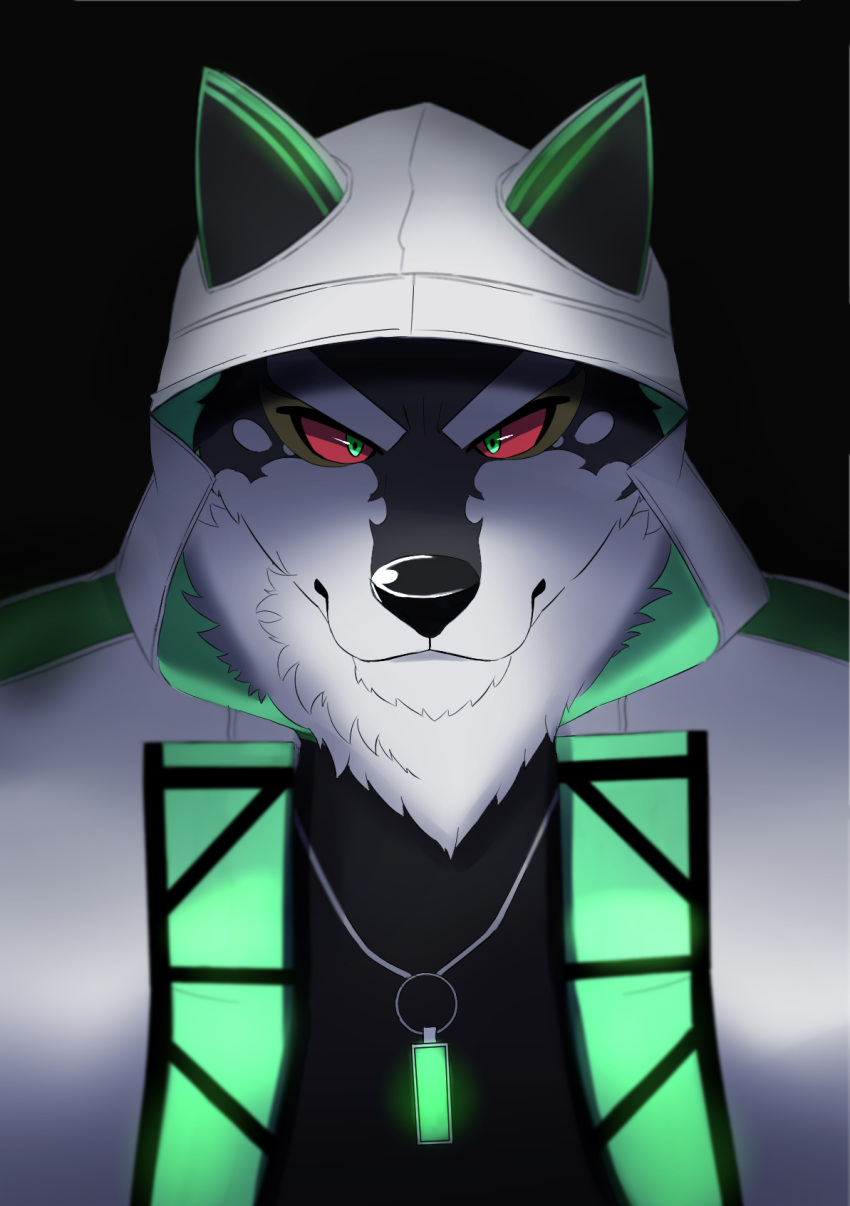 anthro black_and_white_fur bust_portrait canid canine canis clothing domestic_dog glare green_eyes hi_res hoodie husky inugami1837 jewelry lifewonders live-a-hero male mammal monomasa necklace nordic_sled_dog portrait red_sclera solo spitz topwear video_games