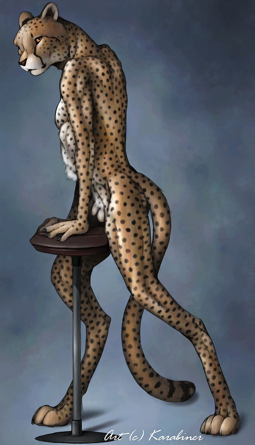 anthro balls felid feline felis fur genitals hi_res karabiner looking_at_viewer male mammal nude pantherine penis sex simple_background solo text