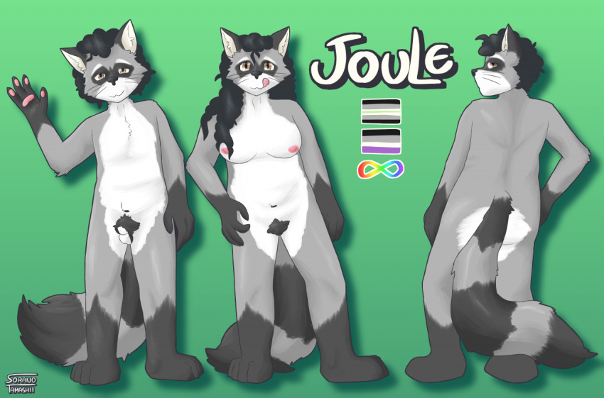 afro agender_pride_colors ambiguous_gender anthro asexual_pride_colors balls breasts female genitals lgbt_pride male mammal model_sheet nude pride_colors procyonid pubes raccoon solo soranotamashii