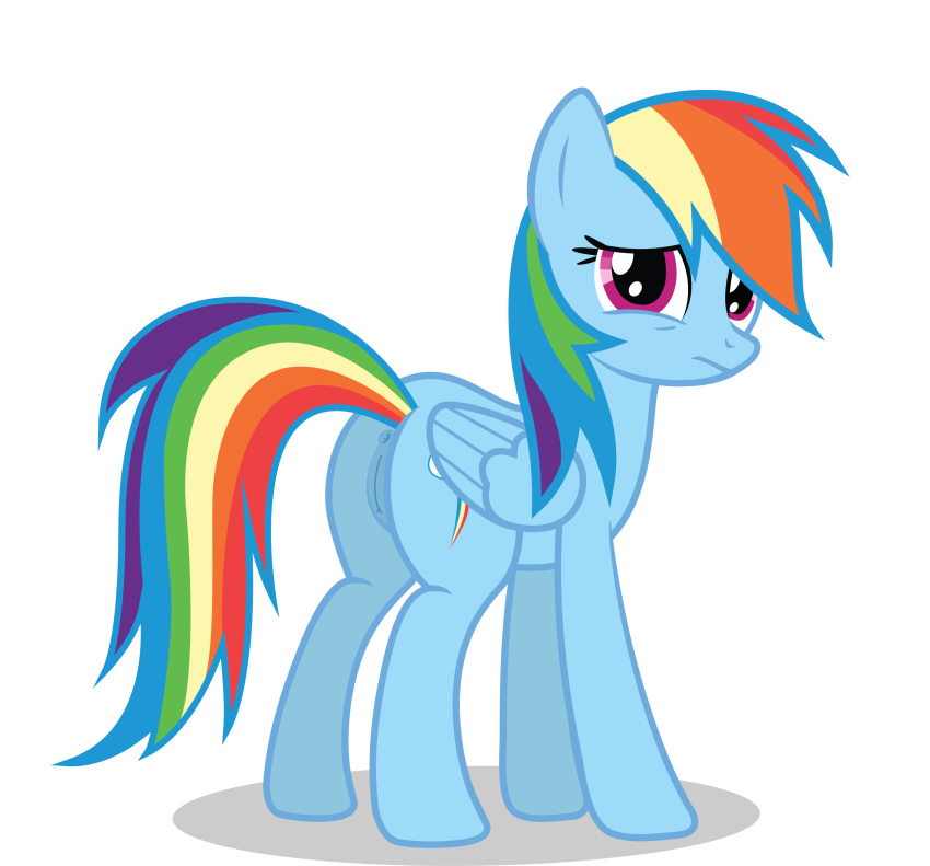absurd_res alpha_channel animal_genitalia animal_pussy butt canon equid equine_pussy female friendship_is_magic genitals hasbro hi_res mammal my_little_pony nardo_(artist) pussy rainbow_dash_(mlp) scared simple_background solo vector