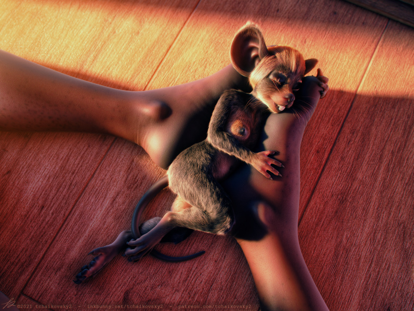 3d_(artwork) 4:3 4_toes anthro asar claws digital_media_(artwork) duo feet female female/female fingers foot_fetish fur hair hi_res lying mammal mouse murid murine nipples nude paws rat rodent size_difference sleeping tchaikovsky2 teeth toe_claws toes