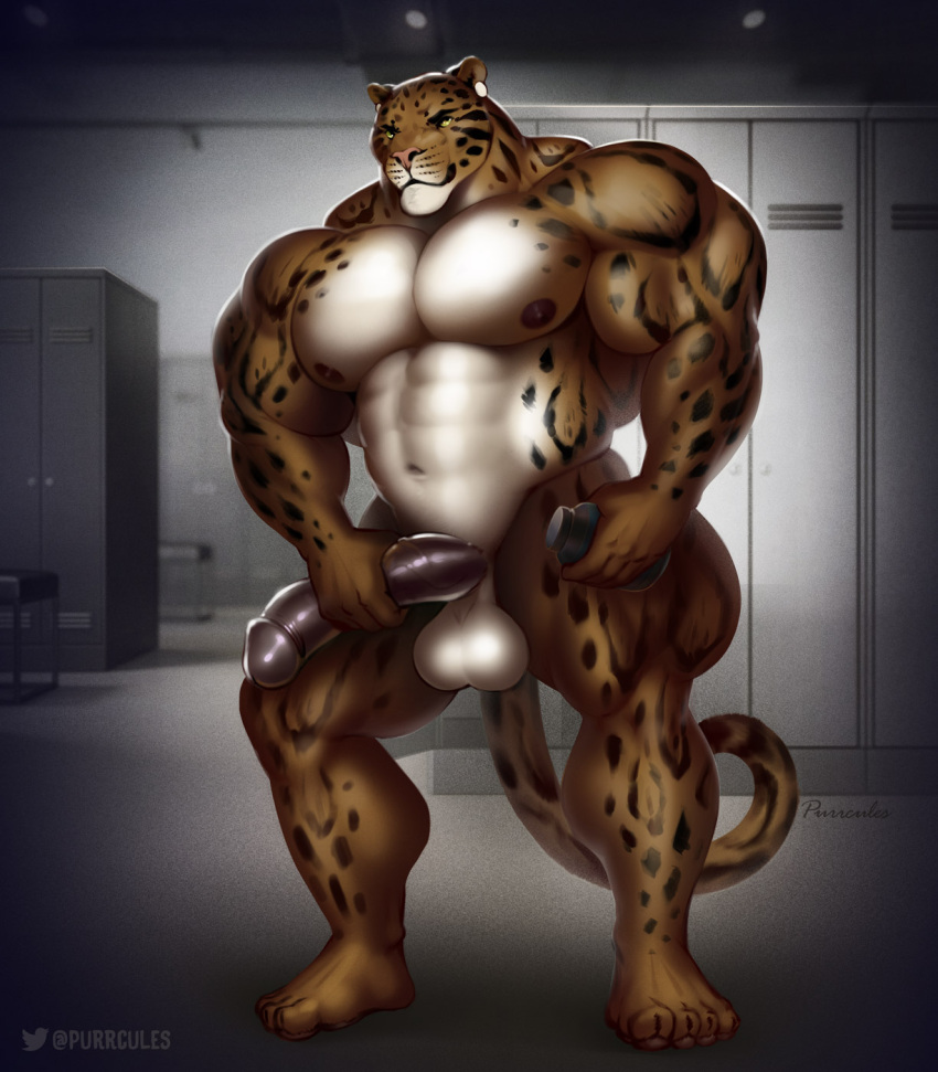 4_toes 5_fingers abs anthro areola balls benji_(character) biceps big_balls big_muscles big_penis biped clouded_leopard digital_media_(artwork) ear_piercing feet felid fingers genitals hi_res holding_object huge_muscles huge_penis huge_thighs humanoid_genitalia humanoid_penis inside locker locker_room mainlion male mammal muscular muscular_anthro muscular_male muscular_thighs navel nipples nude pantherine pecs penis penis_grab piercing pinup pose quads smile solo standing thick_thighs toes vein veiny_penis yellow_eyes