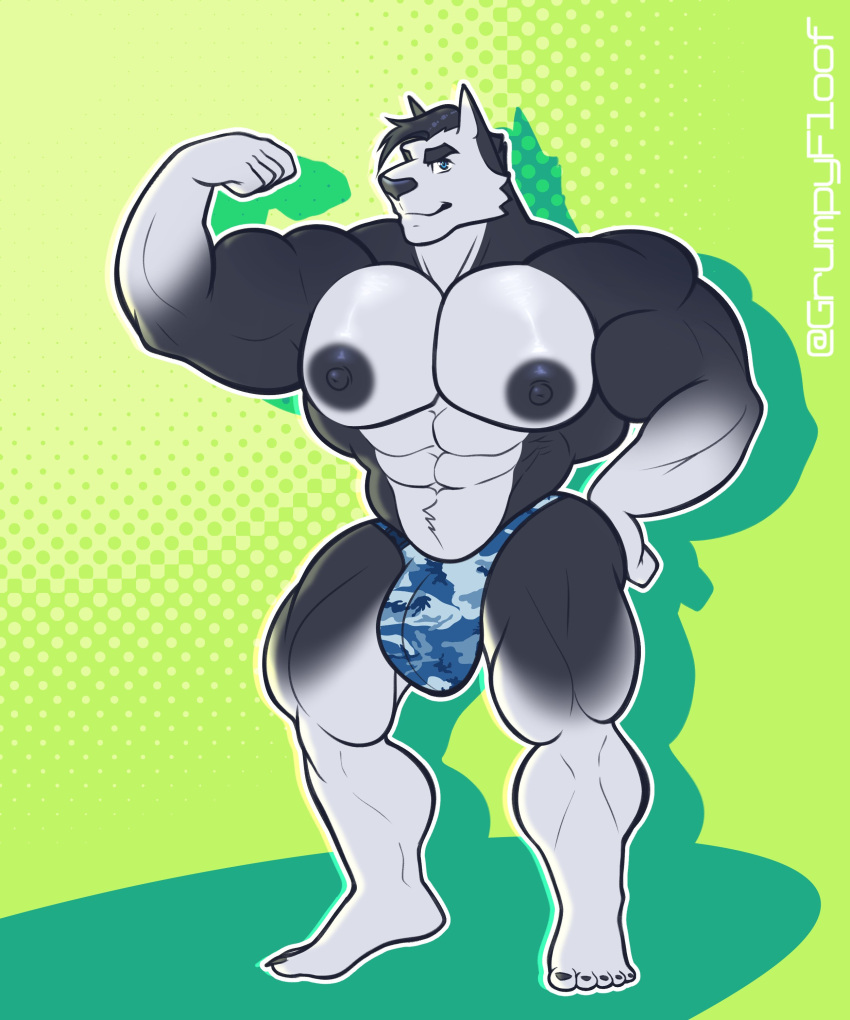 2021 abs abstract_background absurd_res anthro barazoku biceps big_bulge big_muscles big_nipples bulge canid canine canis clothing domestic_dog eyebrows flexing fur green_background grumpyfloof hair hand_on_hip hi_res looking_at_viewer male mammal muscular muscular_anthro muscular_male navel nipples obliques pecs simple_background solo standing text thong tuft underwear url