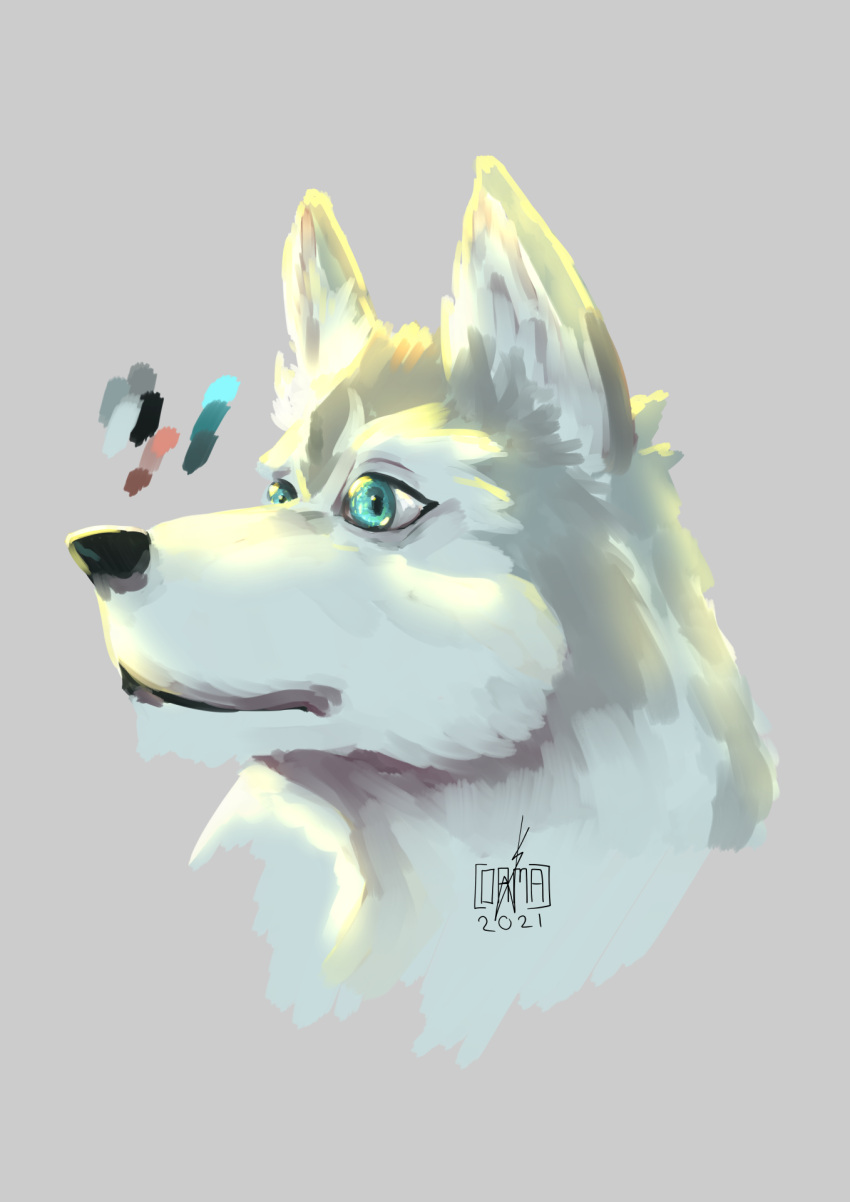 alaskan_malamute bust_portrait canid canine canis cormac domestic_dog hi_res invalid_tag mammal nordic_sled_dog portrait speedpaint spitz