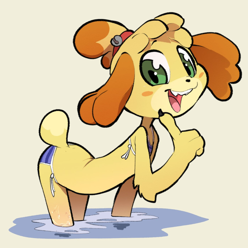 animal_crossing anthro bikini blush canid canine canis clothing domestic_dog female hi_res isabelle_(animal_crossing) itsunknownanon mammal nintendo shih_tzu solo swimwear toy_dog video_games water wet