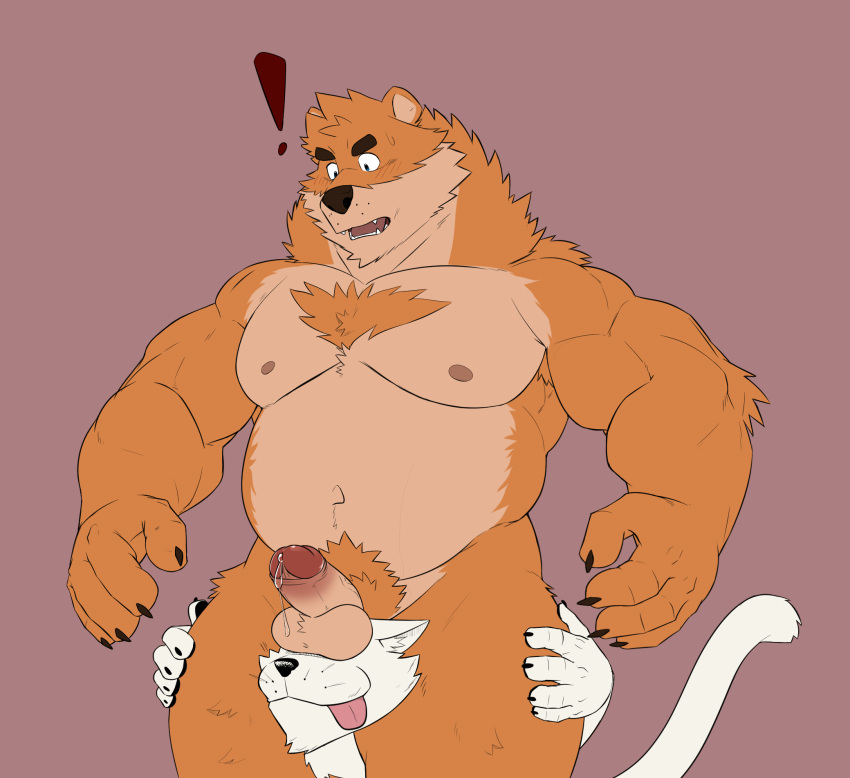 ! ambiguous_gender anthro balls big_muscles black_nose bodily_fluids brown_body brown_fur chest_tuft claws domestic_cat erection felid feline felis fur genital_fluids genitals hands_on_thighs hi_res kumamoto_(character) looking_down male mammal meme muscular muscular_anthro muscular_male navel nech_tuft nipples pecs penis precum pubes seyrmo slightly_chubby standing these_aren't_my_glasses tongue tongue_out tuft whiskers white_body white_fur