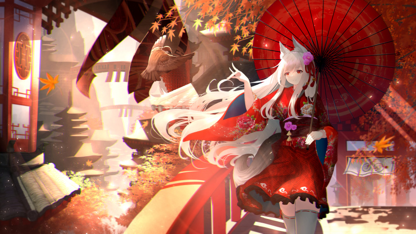 1girl absurdres animal_ears autumn_leaves bird blush fox_ears hanamaru! highres japanese_clothes kimono leaf long_hair looking_away maple_leaf momiji_(hanamaru) myria_(7855) red_eyes scenery smile solo thighhighs umbrella very_long_hair white_hair zettai_ryouiki