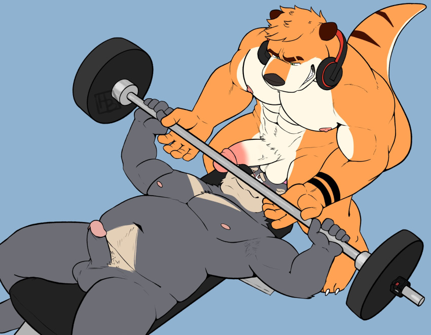 2021 abs anthro anthro_on_anthro balls balls_in_face barbell barefoot big_muscles blue_background duo erection exercise eyebrows feet fur genitals hashburrowns headphones headphones_around_neck hi_res humanoid_genitalia humanoid_penis lutrine lying male male/male mammal muscular muscular_anthro muscular_male mustelid narrowed_eyes nipples nude on_back pecs penis penis_in_face simple_background smile standing teeth tuft ursid weight_bench weightlifting workout