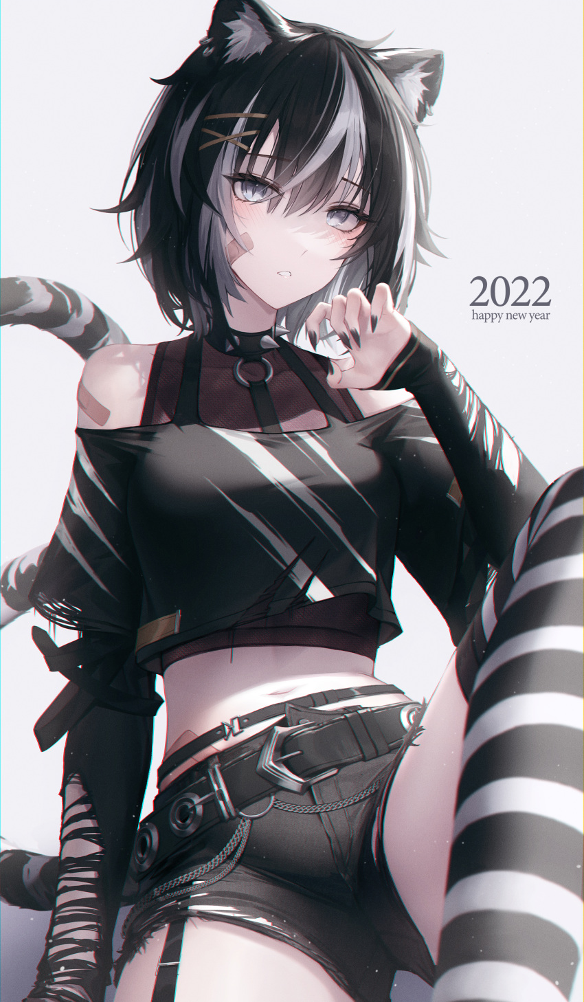 1girl 2022 absurdres animal_ear_fluff animal_ears bandaid bandaid_on_arm bandaid_on_face bangs belt black_belt black_hair black_nails black_shirt black_shorts blush breasts chyopeuteu claw_pose collar commentary crop_top eyebrows_visible_through_hair fingernails grey_eyes hair_between_eyes happy_new_year highres long_sleeves looking_at_viewer midriff multicolored_hair nail_polish navel new_year off_shoulder original sharp_fingernails shirt shorts simple_background sleeves_past_wrists slit_pupils solo spiked_collar spikes streaked_hair striped striped_legwear tail thighhighs white_background white_hair