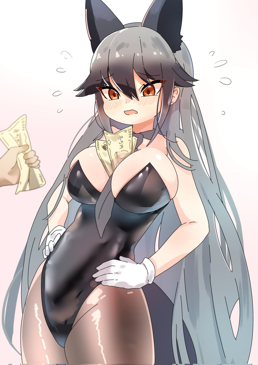 1girl animal_ears banknote between_breasts black_hair black_leotard blush breasts brown_pantyhose cleavage detached_collar dollar_bill extra_ears flying_sweatdrops fox_ears fox_tail gloves grey_hair hair_between_eyes hawawam31677 highleg highleg_leotard highres holding holding_money kemono_friends large_breasts leotard long_hair money multicolored_hair necktie necktie_between_breasts object_in_clothes pantyhose silver_fox_(kemono_friends) strapless strapless_leotard tail tucked_money