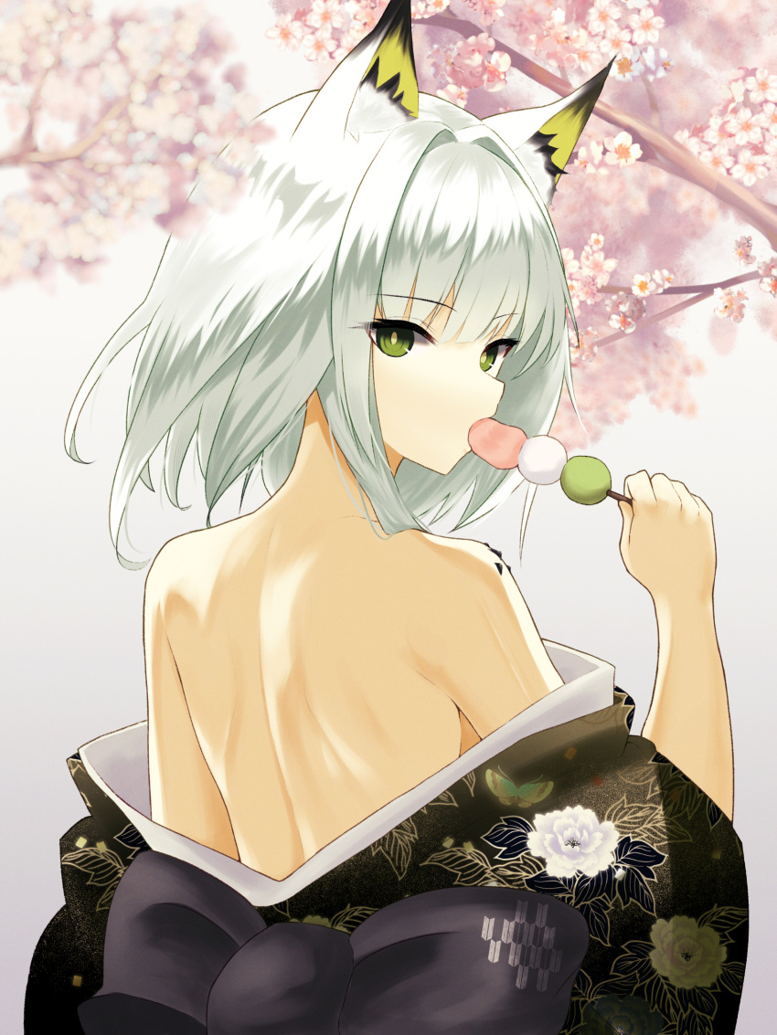 1girl absurdres animal_ears arknights bare_back bare_shoulders black_kimono bright_pupils cat_ears cherry_blossoms commentary_request dango dr.lamina food green_eyes grey_background grey_hair hand_up highres holding holding_food japanese_clothes kal'tsit_(arknights) kimono looking_at_viewer material_growth off_shoulder oripathy_lesion_(arknights) sanshoku_dango short_hair solo upper_body wagashi white_pupils