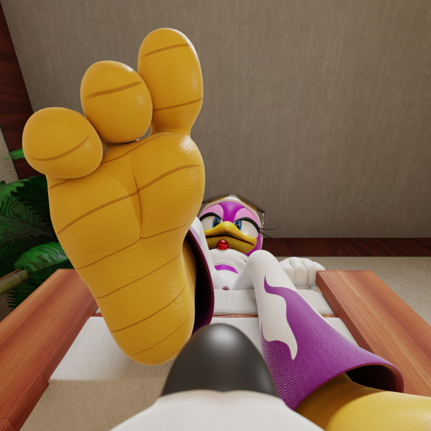 3_toes anthro avian barefoot bird bird_feet canid canine clothed clothing duo feet feetymcfoot female foot_focus fox hi_res low-angle_view male mammal miles_prower sega soles sonic_riders sonic_the_hedgehog_(series) toes wave_the_swallow