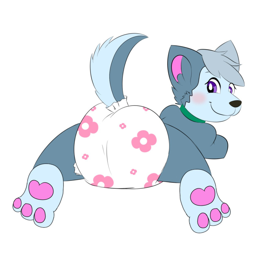 anthro blush butt canid canine canis diaper domestic_dog female happy hi_res husky imces looking_at_viewer mammal nordic_sled_dog solo spitz tammy