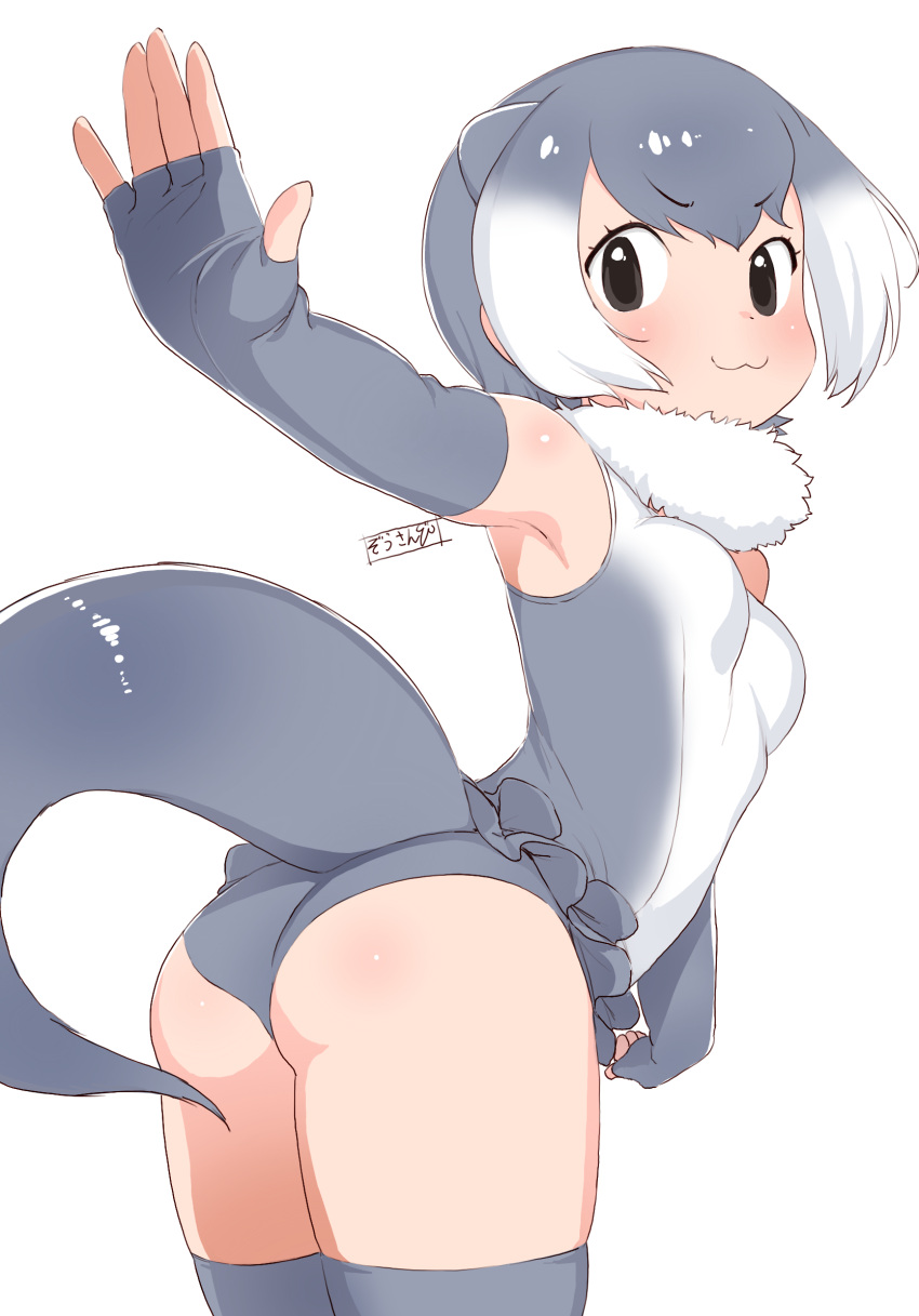 1girl :3 animal_ears arched_back ass bare_shoulders black_eyes breasts commentary elbow_gloves extra_ears eyebrows_visible_through_hair fingerless_gloves from_behind fur_collar gloves gradient_hair grey_gloves grey_hair grey_legwear highres kemono_friends leaning_forward looking_at_viewer looking_back masuyama_ryou multicolored_hair one-piece_swimsuit otter_ears otter_tail outstretched_arm short_hair simple_background small-clawed_otter_(kemono_friends) small_breasts smile solo swimsuit tail thighhighs v-shaped_eyebrows white_background white_hair