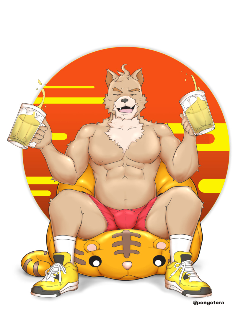 2022 alcohol anthro beer beverage bottomwear bulge canid canine canis clothing domestic_dog drunk felid footwear gaouu hi_res himbo male mammal muscular new_year_2022 pantherine pongotora shiba_inu shirtless shoes shorts sneakers socks solo spitz substance_intoxication tiger tora toramaru