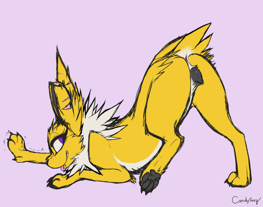 2021 absurd_res anatomically_correct animal_genitalia animal_pussy anus ass_up belly black_pawpads black_pussy butt candyfoxy canid canine canine_pussy claws colored_sketch countershade_torso countershading digital_media_(artwork) eeveelution female feral fur genitals hi_res jolteon lavender_(awes) looking_back mammal multicolored_body neck_tuft nintendo nude pawpads paws pok&eacute;mon pok&eacute;mon_(species) presenting presenting_hindquarters purple_eyes pussy scar signature simple_background sketch slim smile smirk solo solo_focus stretching toe_claws tongue tongue_out tuft video_games white_belly yellow_body yellow_fur
