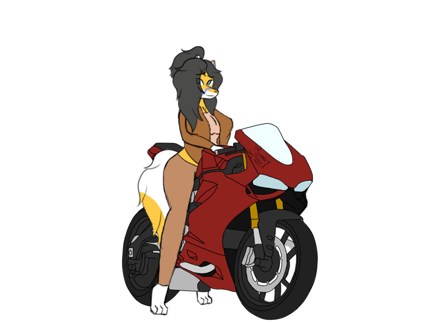 amelya_azra anthro bottomwear breasts canid canine clothed clothing digital_media_(artwork) ducati_(motorcycle) female fox hi_res looking_at_viewer mammal motorcycle mzzrlaraz rider riding riding_motorcycle smile solo topwear vehicle