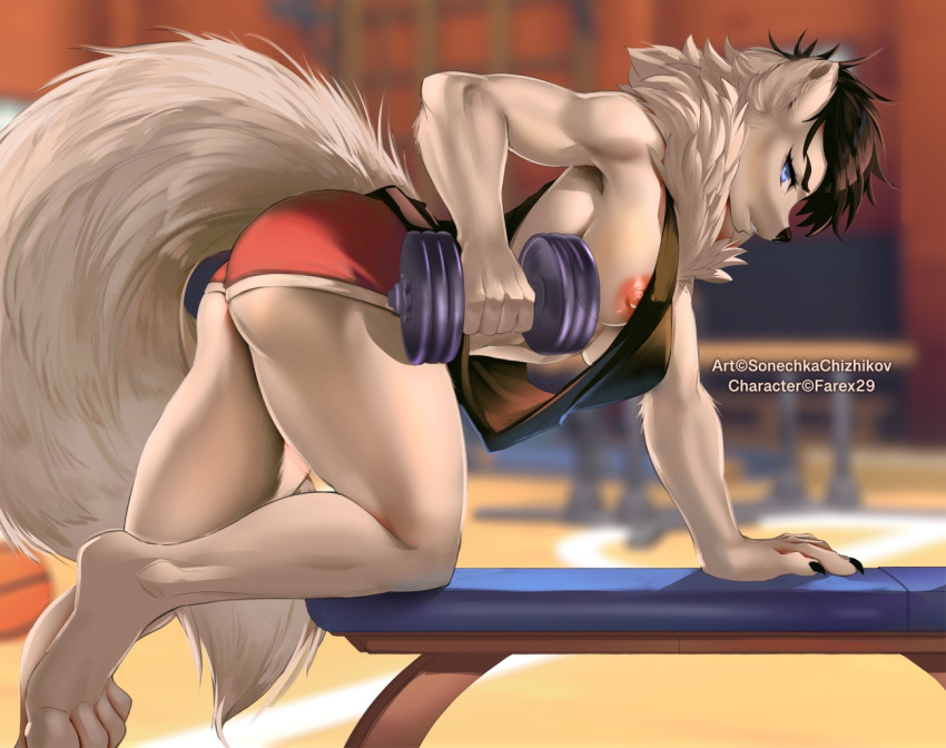 2022 5_fingers anthro areola banjax_(farex) barbell better_version_at_source big_breasts biped black_hair bodily_fluids bottomwear breasts butt claws clothed clothing digital_media_(artwork) exercise female finger_claws fingers fluffy fur gym hair loose_shirt muscular muscular_anthro muscular_female nipples shirt short_hair shorts side_boob solo sonechkachizhikov_(artist) sweat tank_top teeth thick_thighs toe_claws topwear under_boob weightlifting weights white_body white_fur workout