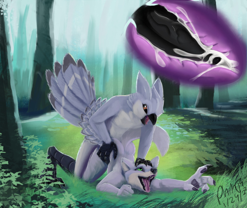 anal anal_penetration anthro avian beak bird black_beak black_penis black_sclera black_talons bodily_fluids canid canine canis cum cum_in_ass cum_inside dizek_(character) duo feathers forest forest_background fur genital_fluids genitals green_eyes grey_body grey_feathers grey_fur internal looking_pleasured male male/male mammal nature nature_background open_mouth orange_eyes owl penetration penis phinja pinned plant plumage saliva saliva_on_tongue saliva_string tapering_penis tree wolf