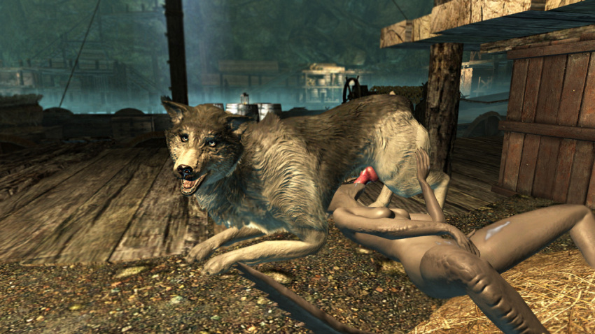 animal_genitalia animal_penis anthro anthro_on_feral argonian balls bestiality bethesda_softworks bodily_fluids box breasts canid canine canis cave claws container cum cum_drip docks domestic_dog dripping duo fellatio female feral fog from_behind_position genital_fluids genitals happy humping husky inside kneeling lee_wa li3beslied male male/female mammal masturbating_while_penetrated masturbation nordic_sled_dog on_ground oral paws penetration penile penis planks scalie sex skyrim spitz sucking suckling teeth teeth_showing the_elder_scrolls vein veiny_penis video_games