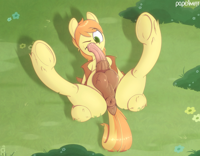 animal_genitalia animal_penis anus balls braeburn_(mlp) butt doggystyle equid equine equine_penis erection fellatio feral friendship_is_magic from_behind_position front_view genitals hasbro hi_res horse male mammal my_little_pony oral papermint papermintus penile penis pony sex solo