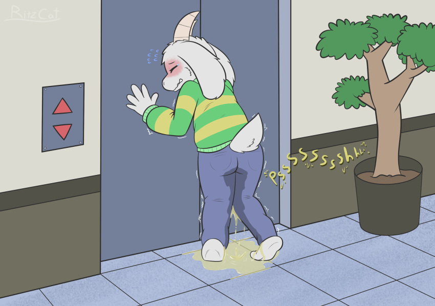 2021 accident anthro asriel_dreemurr big_ears blush bodily_fluids bottomwear bovid bursting butt caprine caught caught_off_guard clenched_teeth clothed clothing crossed_legs crouching cute_expression desperation digital_drawing_(artwork) digital_media_(artwork) embarrassed english_text exposed eyes_closed feet fluffy fluffy_tail fur genital_fluids gesture goat hi_res hindpaw humiliation knock-kneed long_ears male mammal nervous nervous_sweat omorashi open_mouth pants paws peeing potty_dance potty_training practice public public_humiliation relieved ritzcat scared shaking so_close_yet_so_far solo sound_effects standing standing_in_urine standing_position story story_in_description struggling surprise surprised_expression surprised_face surprised_look sweat sweatdrop sweater teeth text topwear trembling undertale undertale_(series) urine urine_drip urine_stain urine_stream video_games wall_(disambiguation) watersports wet wet_body wet_clothing wet_fur wetting white_body white_fur worried worried_face worried_look