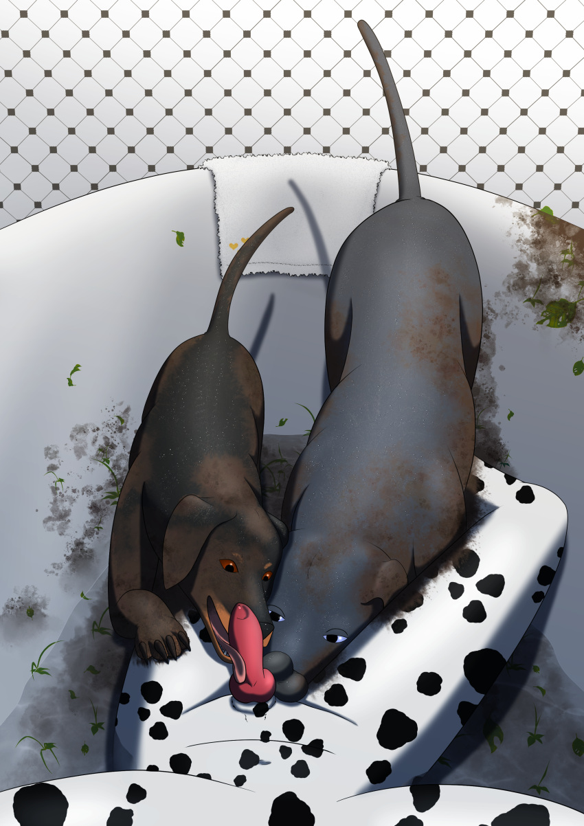 absurd_res ambiguous_gender animal_genitalia animal_penis anthro anthro_on_feral balls bathtub baylong bestiality canid canine canine_penis canis collaborative collaborative_fellatio collaborative_sex dalmatian dirt dobermann domestic_dog fellatio feral first_person_view genitals great_dane hi_res intraspecies knot licking male male/ambiguous mammal mastiff molosser oral penile penis penis_lick pinscher receiving_pov same-species_bestiality sex taker_pov tongue tongue_out