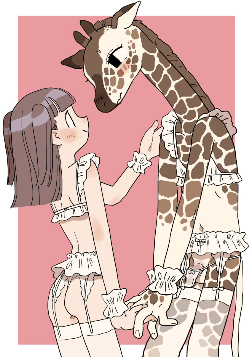 anthro blush butt clothed clothing crossdressing duo erection female giraffe giraffid girly hi_res human lingerie male mammal semi