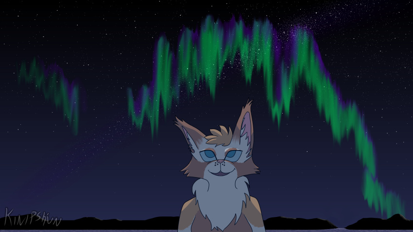 absurd_res anthro aurora_borealis blue_eyes blue_sclera cheek_tuft detailed_background ear_tuft facial_tuft felid feline female hair hi_res inner_ear_fluff kinipshun looking_up mammal neck_tuft night outside sky smile solo star starry_sky tuft