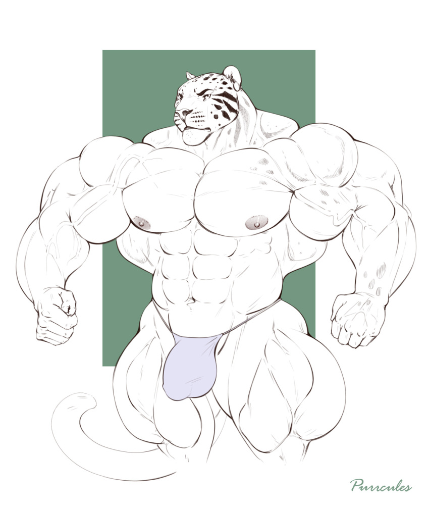 2022 abs anthro areola artist_name benji_(character) big_muscles biped bulge clothed clothing clouded_leopard digital_drawing_(artwork) digital_media_(artwork) ear_piercing felid genital_outline hi_res huge_biceps huge_muscles huge_pecs huge_thighs hyper hyper_muscles hyper_thighs mainlion male mammal muscular muscular_anthro muscular_male muscular_thighs navel nipples pantherine penis_outline piercing pinup portrait pose quads simple_background sketch solo spots spotted_body standing thick_thighs thong three-quarter_portrait underwear underwear_only veiny_muscles