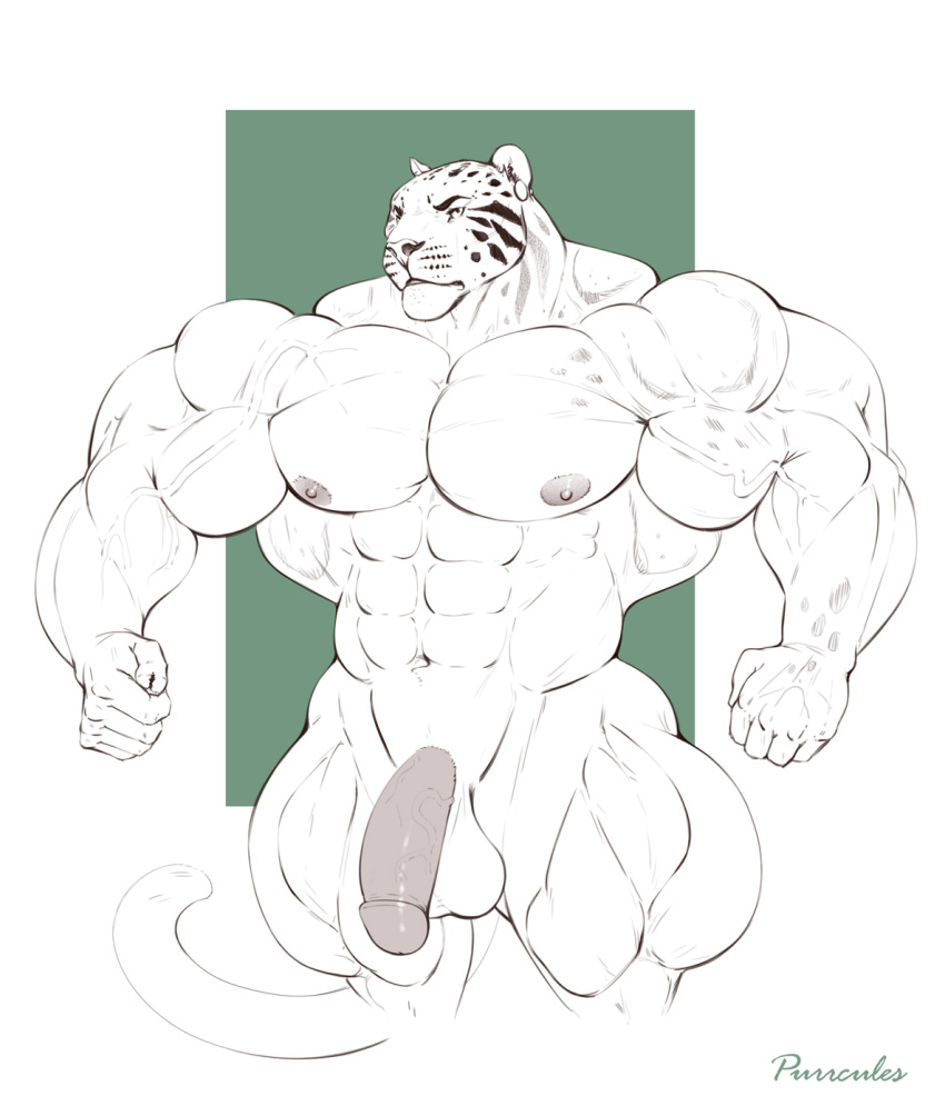 2022 abs anthro areola artist_name balls benji_(character) big_balls big_muscles big_penis biped circumcised clouded_leopard digital_drawing_(artwork) digital_media_(artwork) ear_piercing felid genitals glans hi_res huge_biceps huge_muscles huge_pecs huge_thighs hyper hyper_muscles hyper_thighs mainlion male mammal muscular muscular_anthro muscular_male muscular_thighs navel nipples nude pantherine penis piercing pinup portrait pose quads simple_background sketch solo spots spotted_body standing thick_thighs three-quarter_portrait vein veiny_muscles veiny_penis