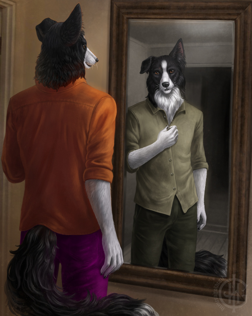 anthro beiler border_collie canid canine canis collie colorblind domestic_dog goodspeed herding_dog hi_res himeragoldtail humble humor male mammal mirror pastoral_dog reflection sheepdog solo story story_in_description