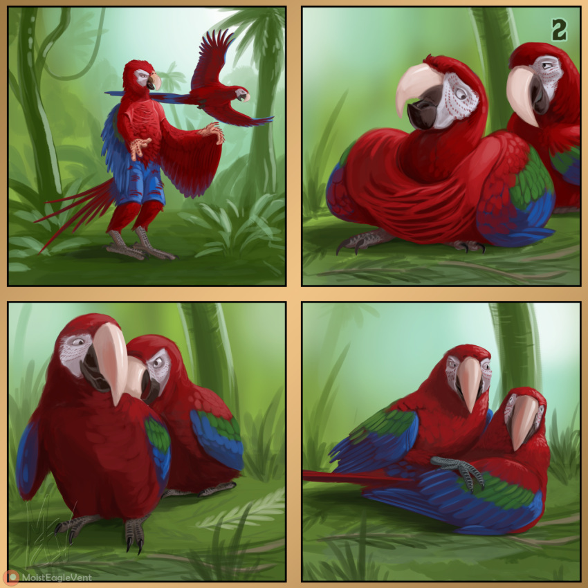 after_transformation avian banibu beak bird bird_feet blue_body blue_feathers bottomwear clothing duo feathered_wings feathers feral green_body green_feathers hi_res human humanoid macaw male male/male mammal moisteaglevent neotropical_parrot pants parrot red_body red_feathers talons transformation true_parrot wings