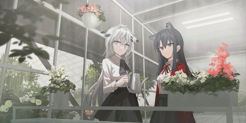 2girls absurdres animal_ear_fluff animal_ears arknights bangs black_bow black_eyes black_hair black_skirt bow chihuri collared_shirt commentary_request dress_shirt ear_piercing eyebrows_visible_through_hair flower greenhouse grey_eyes grey_hair hair_between_eyes hair_ornament hairclip highres holding indoors jacket lappland_(arknights) long_hair looking_at_viewer multiple_girls neck_ribbon open_clothes open_jacket parted_lips piercing red_flower red_jacket red_ribbon ribbon shirt skirt texas_(arknights) very_long_hair watering_can white_flower white_shirt
