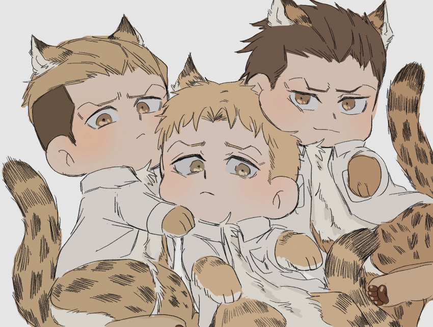 3boys animal_ears animal_feet animal_hands blonde_hair blush boy_sandwich brothers brown_hair cheek_press chibi feet_out_of_frame highres jaguar_boy jaguar_ears jaguar_tail kemonomimi_mode male_focus marcel_galliard marley_military_uniform multiple_boys porco_galliard reiner_braun sandwiched shingeki_no_kyojin short_hair siblings smile tail tiger_boy tiger_ears tiger_tail zunkome