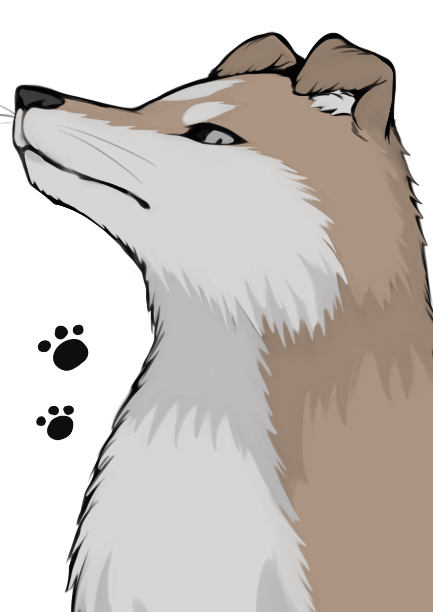 absurdres animal animal_ear_fluff animal_focus banned_artist closed_mouth fox grey_eyes highres looking_at_viewer no_humans original paw_print paw_print_background shimizu_akina simple_background white_background