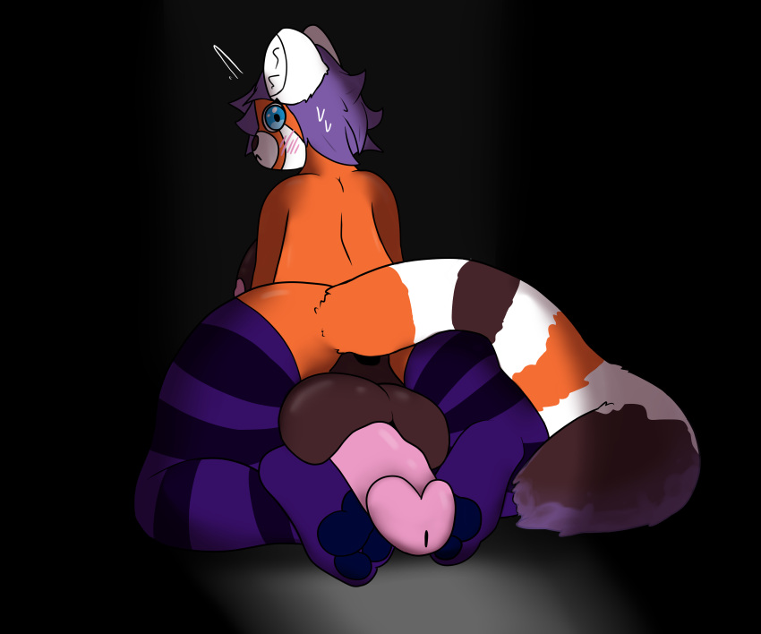 absurd_res ailurid anthro balls big_balls blush bodily_fluids breasts clothing female flustered footwear fur genitals gynomorph hair hi_res intersex kneeling legwear looking_back mammal markings nipples orange_body orange_fur paws penis penis_on_paws penis_tuck pink_penis purple_clothing purple_footwear purple_hair purple_socks red_panda ring_(marking) ringtail shaded socks solo surprised_expression sweat sweatdrop tail_markings thigh_highs thigh_socks trans_(lore) twelve_steps white_markings