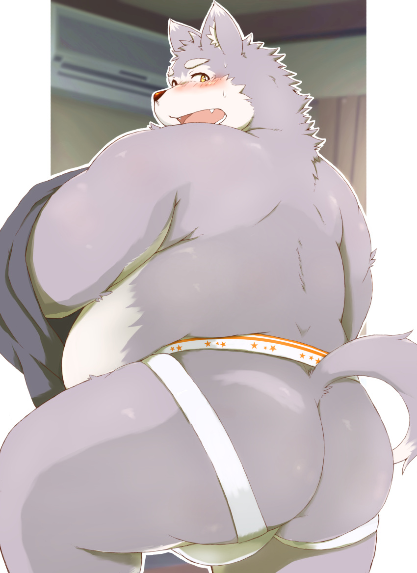 2022 anthro belly blush bulge butt canid canine clothing dressing hi_res ibuki_haruno jockstrap kemono male mammal overweight overweight_male solo underwear