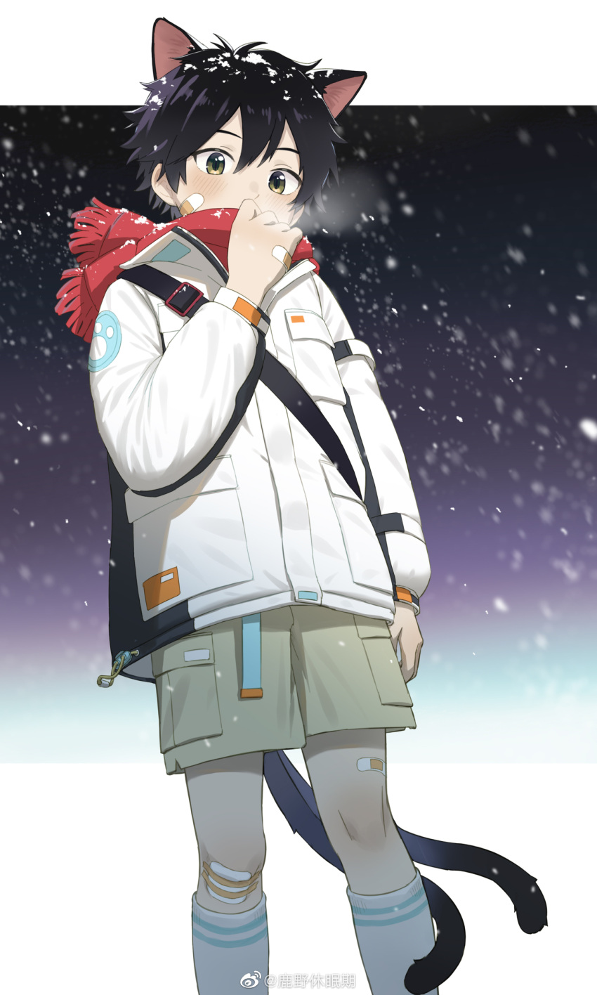 1boy animal_ears bandaid cat_boy cat_ears cat_tail coat commentary_request gloves highres luye_yuan mittens night night_sky original outdoors scarf shorts sky snow snowflakes snowing tagme tail winter yellow_eyes