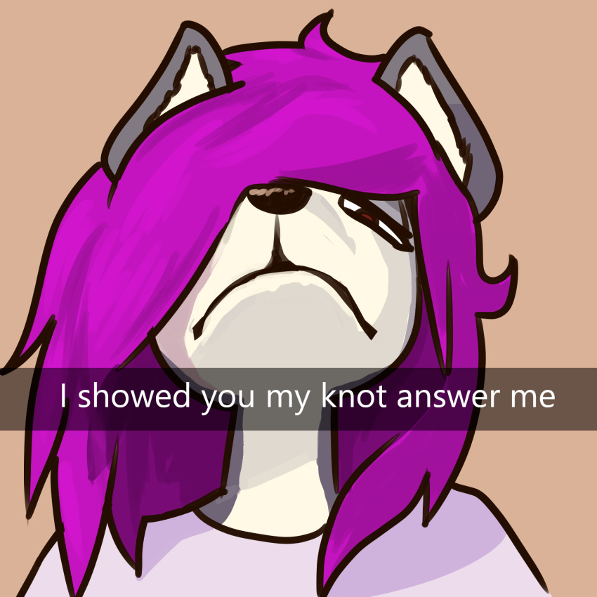 anthro canid canine canis dialogue domestic_dog fluorite hair hi_res husky image_macro looking_down_at_viewer male mammal meme nordic_sled_dog pathetic_(meme) portrait pupils purple_hair red_eyes simple_background sketch small_pupils snapchat solo spitz text