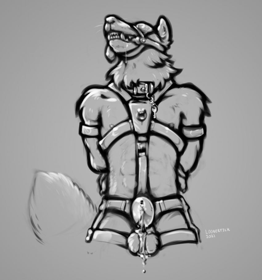 anthro bdsm bit_gag blindfold bodily_fluids bondage bound canid canine canis chastity_(disambiguation) chastity_cage chastity_device collar excessive_precum gag gagged genital_fluids hands_behind_back harness head_harness hi_res key kiba_kurokage leaking_precum loonertick male mammal precum solo were werecanid werecanine werewolf wolf